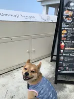 瀬長島ウミカジテラスの写真・動画_image_350415