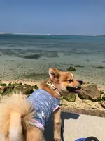 瀬長島ウミカジテラスの写真・動画_image_350431