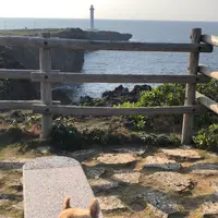 残波岬の写真・動画_image_350438
