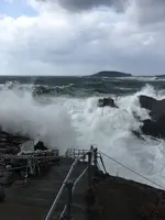 東尋坊の写真・動画_image_350446