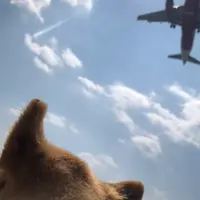 瀬長島 撮影ポイントの写真・動画_image_350479