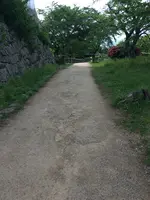 彦根城の写真・動画_image_350662