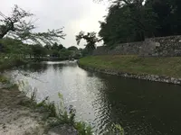 彦根城の写真・動画_image_350666