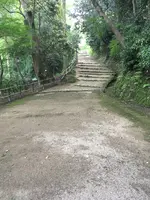 彦根城の写真・動画_image_350668