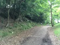 彦根城の写真・動画_image_350669