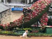 海洋博公園の写真・動画_image_350763