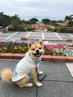 海洋博公園の写真・動画_image_350764