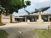 海洋博公園の写真・動画_image_350765
