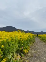笠岡ベイファームの写真・動画_image_350960
