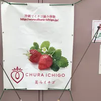 美らイチゴ 南城ハウスの写真・動画_image_351113