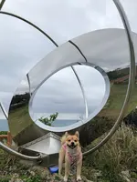 知念岬公園の写真・動画_image_351117