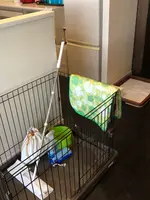 カフーリゾートフチャク コンドホテルの写真・動画_image_351128