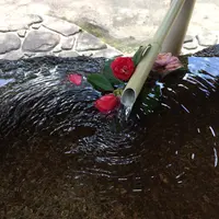 大願寺の写真・動画_image_352113