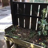 TRUNKの写真・動画_image_352140