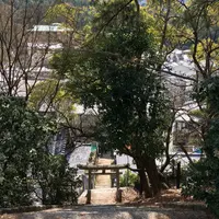 今伊勢神社の写真・動画_image_352146