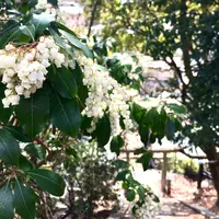 今伊勢神社の写真・動画_image_352147