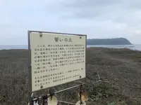 知林ヶ島の写真・動画_image_352420