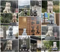 鰻温泉の写真・動画_image_352473