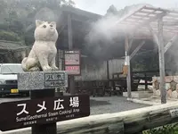 鰻温泉の写真・動画_image_352478