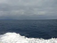 西表島の写真・動画_image_352762