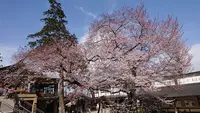 高麗神社の写真・動画_image_352903
