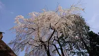 高麗神社の写真・動画_image_352914