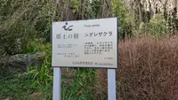 高麗神社の写真・動画_image_352915
