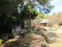 書写山圓教寺の写真・動画_image_352933