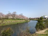花見川サイクリングロードの写真・動画_image_353083
