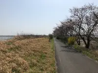 花見川サイクリングロードの写真・動画_image_353094