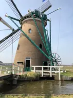 佐倉ふるさと広場の写真・動画_image_353105