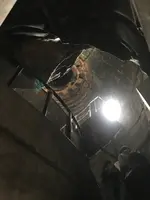 鎌倉大仏（高徳院）の写真・動画_image_353765