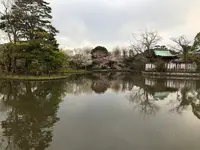 鶴岡八幡宮の写真・動画_image_353777