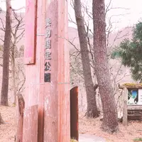 小安峡大噴湯の写真・動画_image_354224