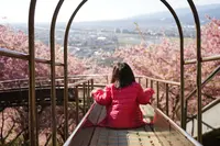 松田山ハーブガーデンの写真・動画_image_354280