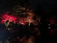 兼六園の写真・動画_image_354297