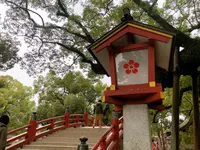 太宰府天満宮の写真・動画_image_354338