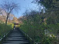 明月院（あじさい寺）の写真・動画_image_354375