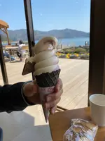 河口湖自然生活館の写真・動画_image_354559