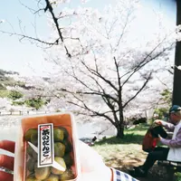宇治橋の写真・動画_image_354724