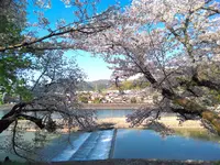 宇治橋の写真・動画_image_354728