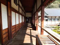 興聖寺の写真・動画_image_354729