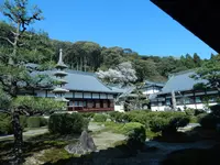 興聖寺の写真・動画_image_354730