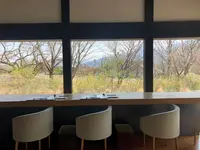 素透撫の写真・動画_image_354763