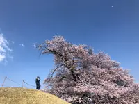 笛吹市役所 八代ふるさと公園の写真・動画_image_354772