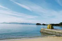 草間彌生「南瓜」の写真・動画_image_354792