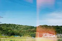 直島の写真・動画_image_354803