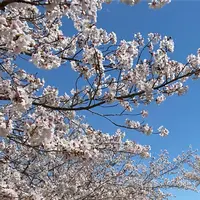 総合公園バンブージョイハイランドの写真・動画_image_355084
