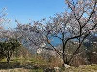 筆影山の写真・動画_image_355085