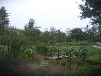 新梅田シティの写真・動画_image_355101